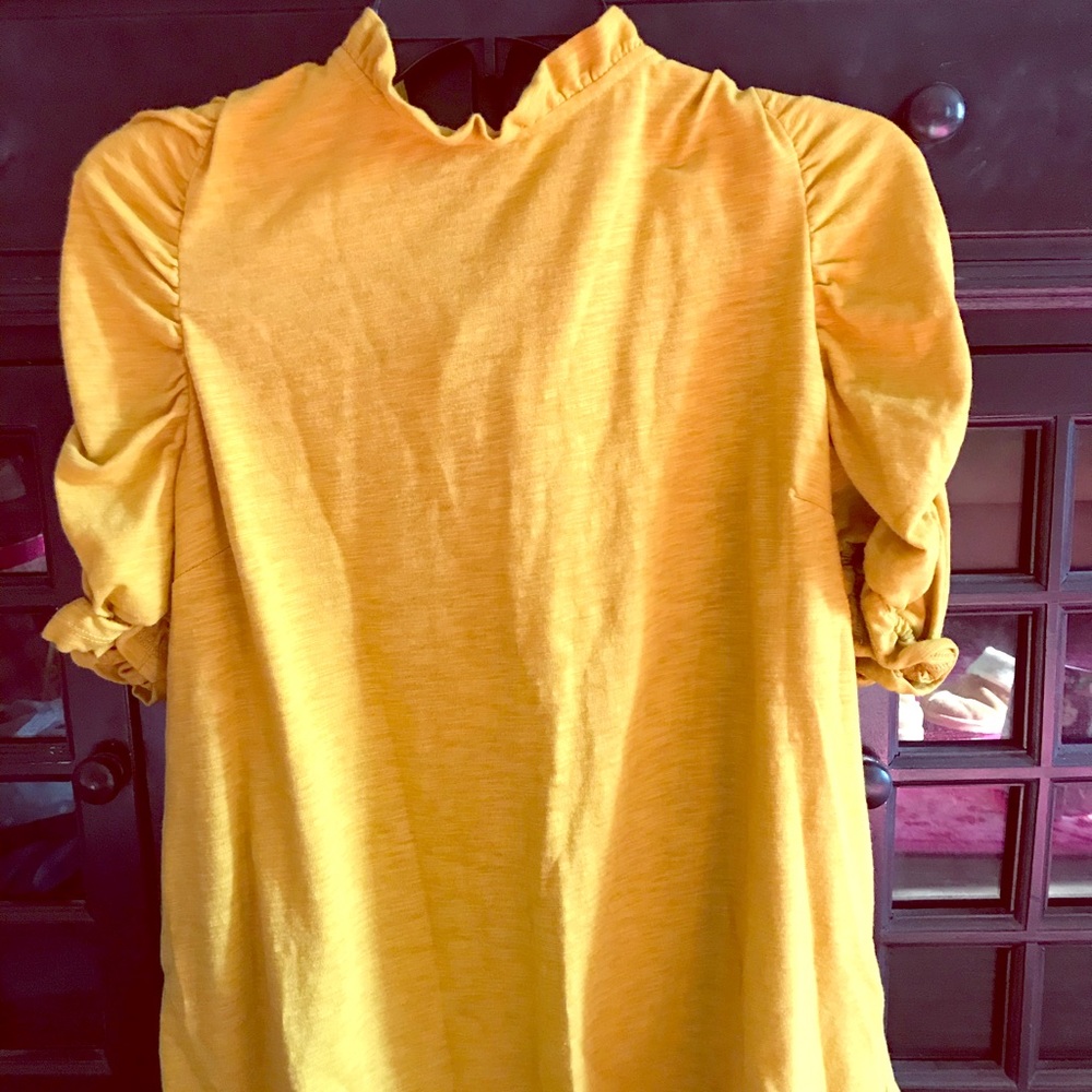 Mustard, ruffle sleeve anthropology shirt.